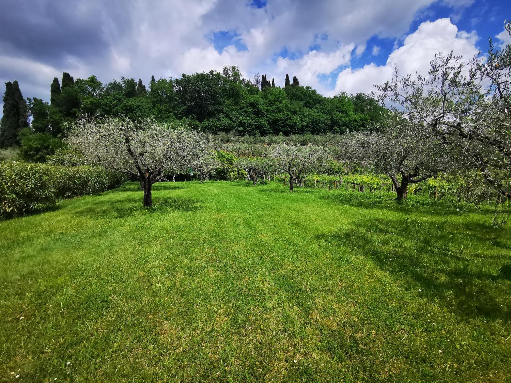 Casa Ghirlanda Con Piscina E Campo Da Tennis Lazise Exterior foto